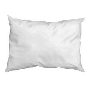 Reusable Pillow